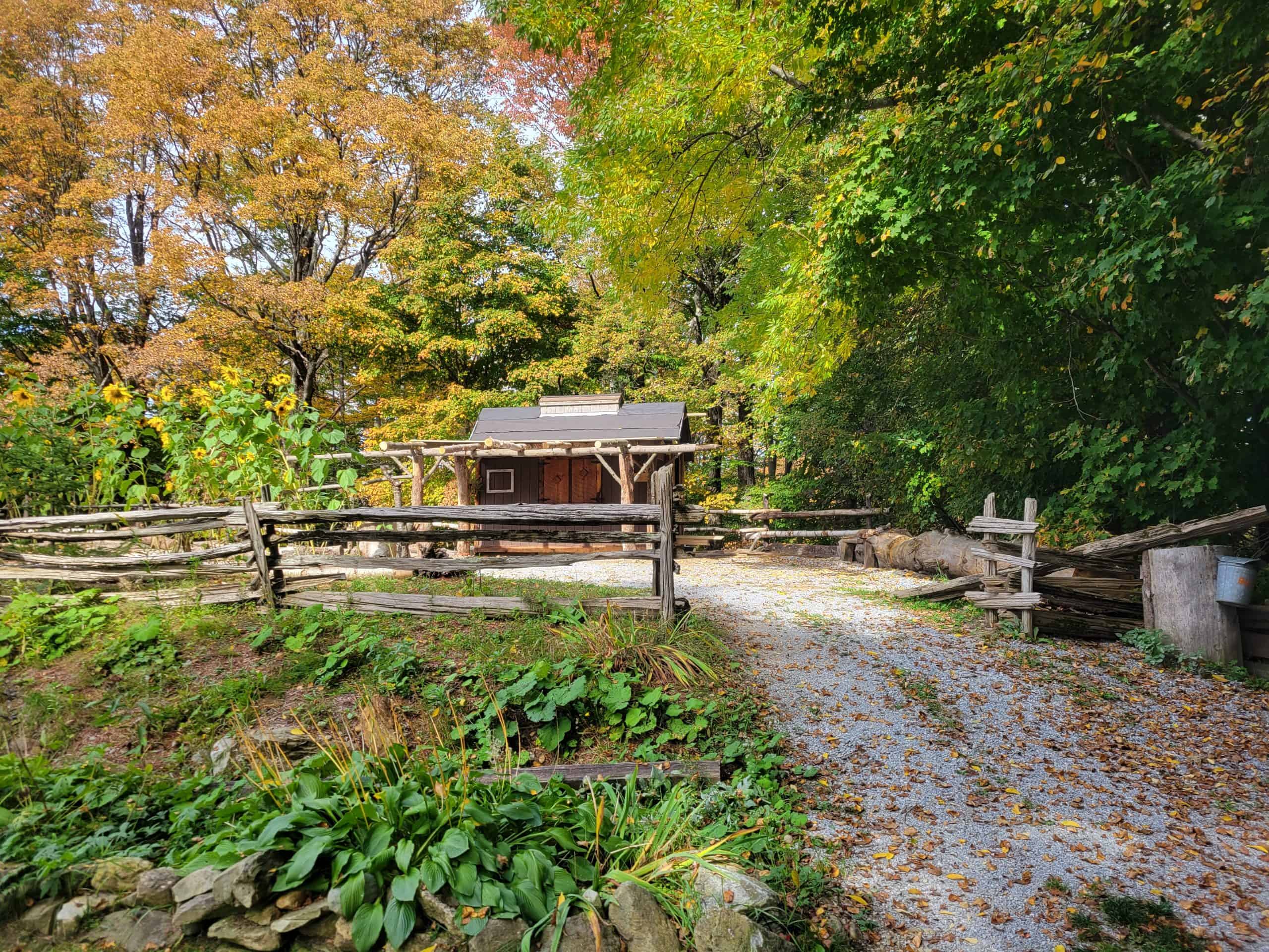Small outdoor cabin amongst the leaves